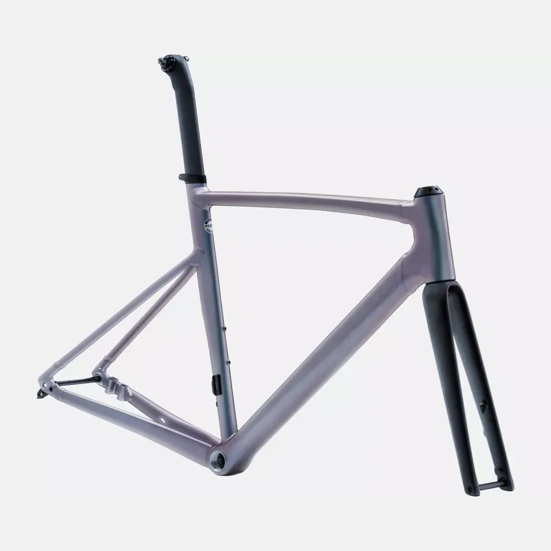 2022 Specialized Allez Sprint Frameset in Aluminum/Colour Run/Logos