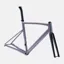 2022 Specialized Allez Sprint Frameset in Aluminum/Colour Run/Logos