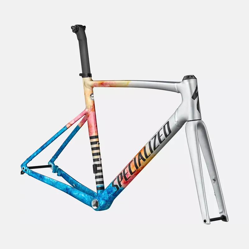 2022 Specialized Allez Sprint Frameset in Water Effect/Black